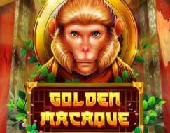 Golden Macaque